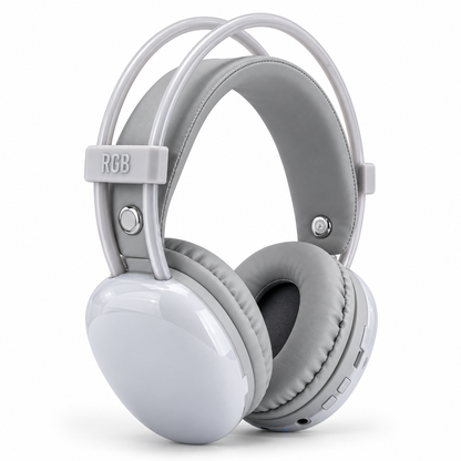 JBL BT800 MAX