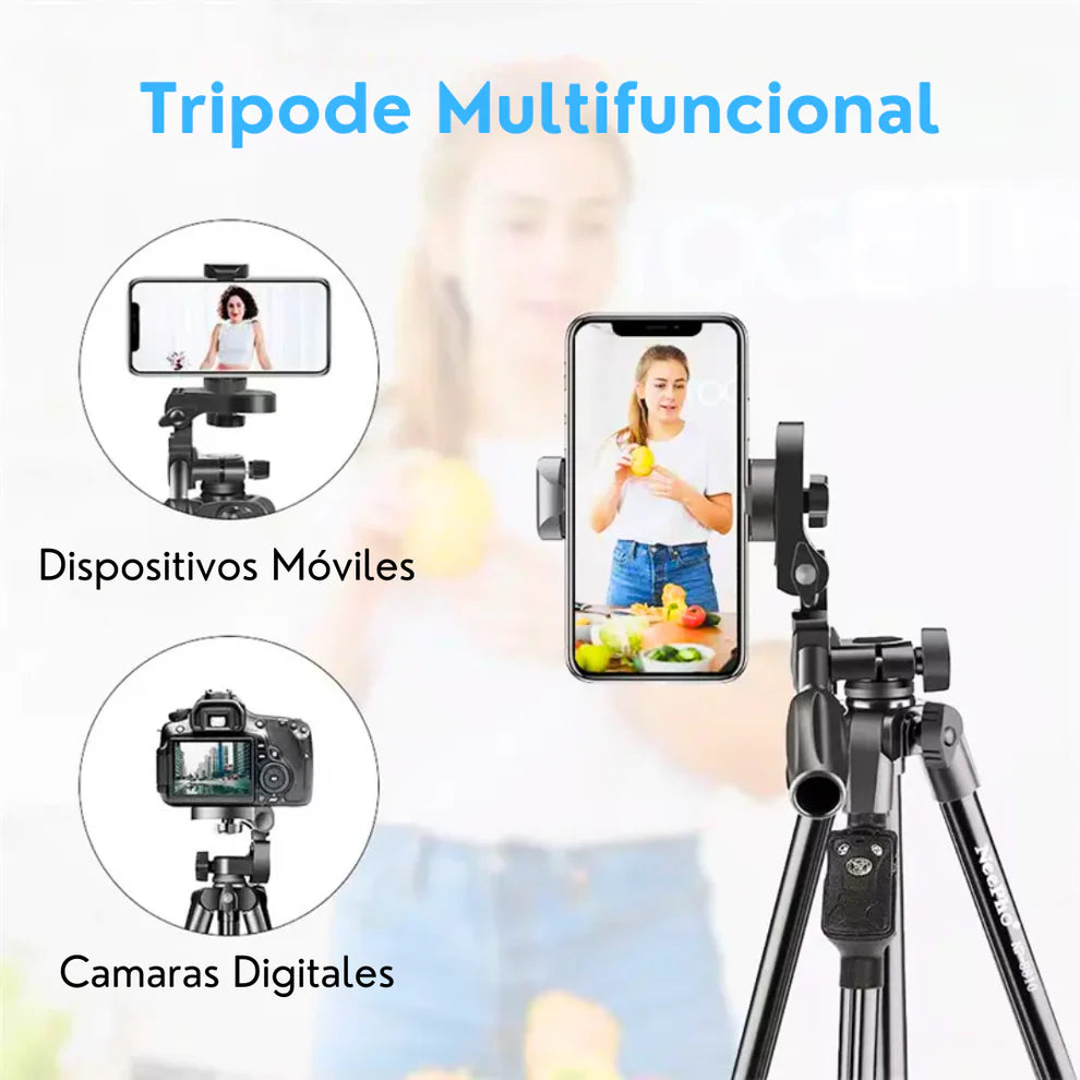 Trípode Profesional Neepho 8810